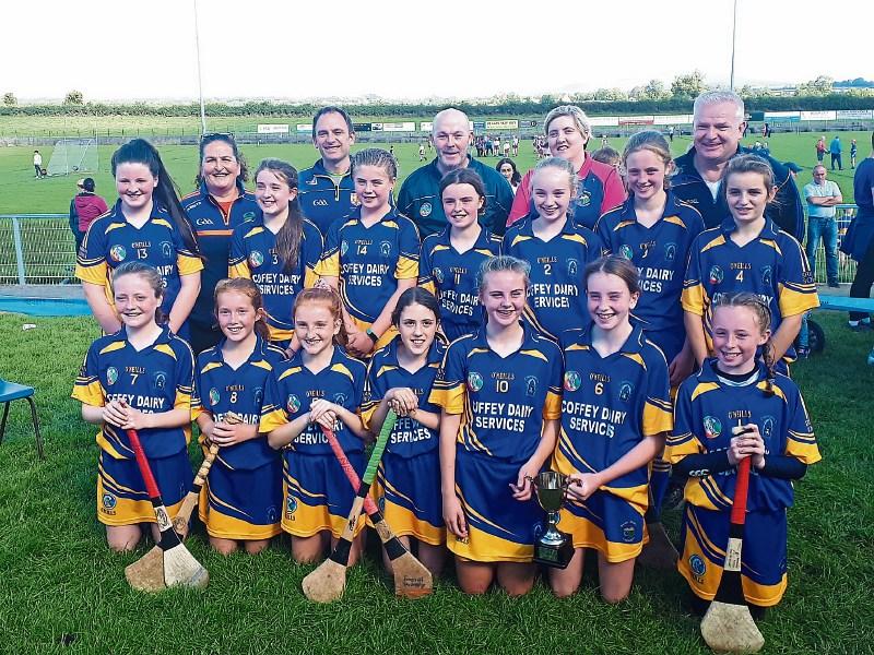 County Camogie Champions - Brian Borus