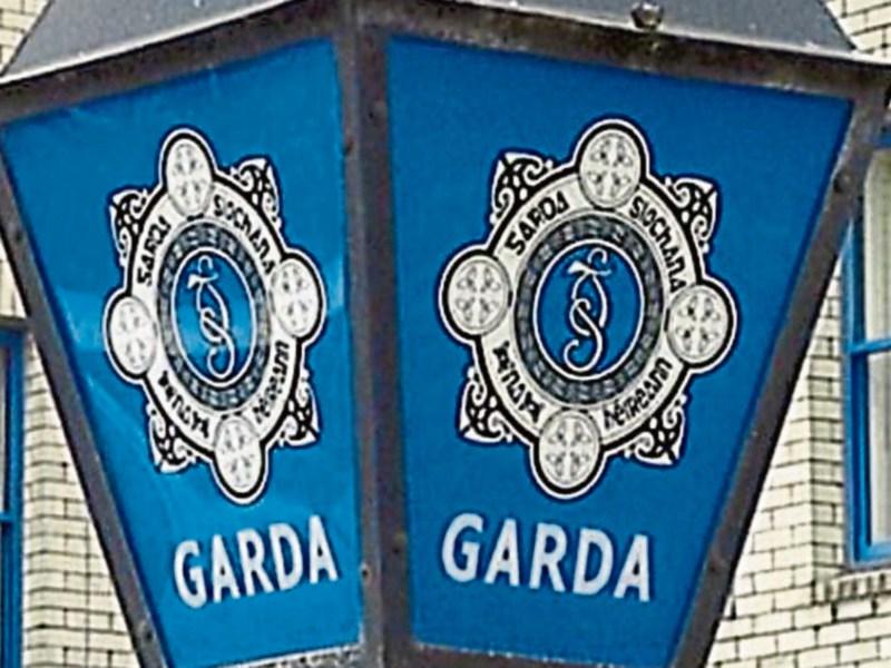 Tipperary gardai warn public to not leave valuables in cars after wallet theft in rural community