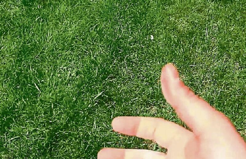 Appeal to 'Sod Off' while Tipperary GAA field is undergoing repair
