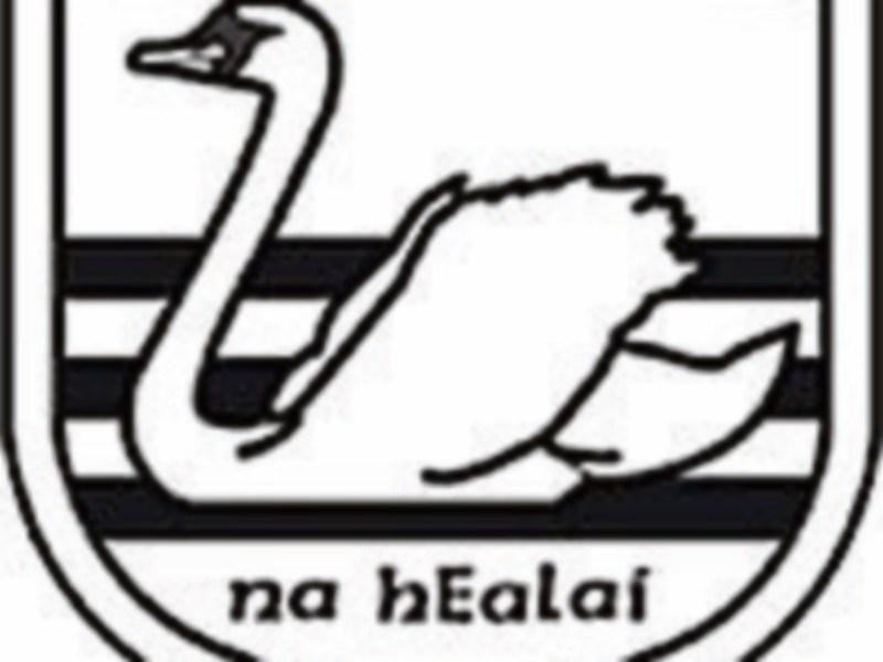 Cahir and Swan U-12 teams win Carrick-on-Suir hurling tournament