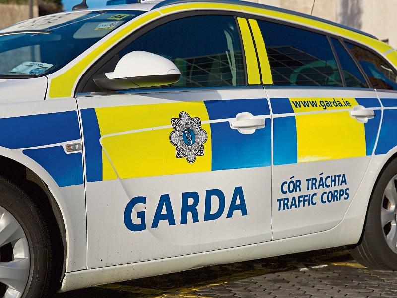 Two arrested after €52,000 worth of cannabis seized in Tipperary drugs raid