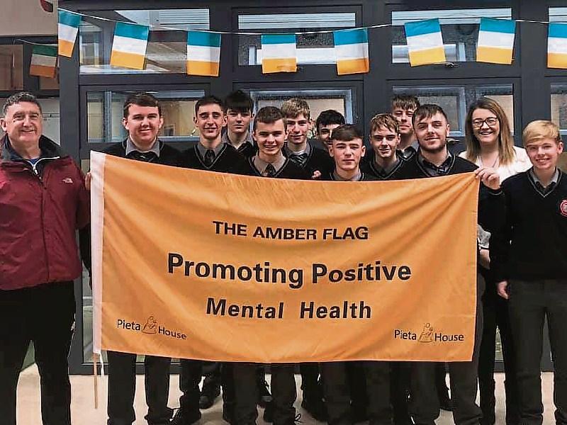 Co. Tipperary school receives flag for its positive mental health campaign