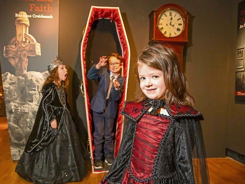 Gold coins, coffins and bodies in a suitcase - some of the attractions at the stunning new Tipperary Museum of Hidden History