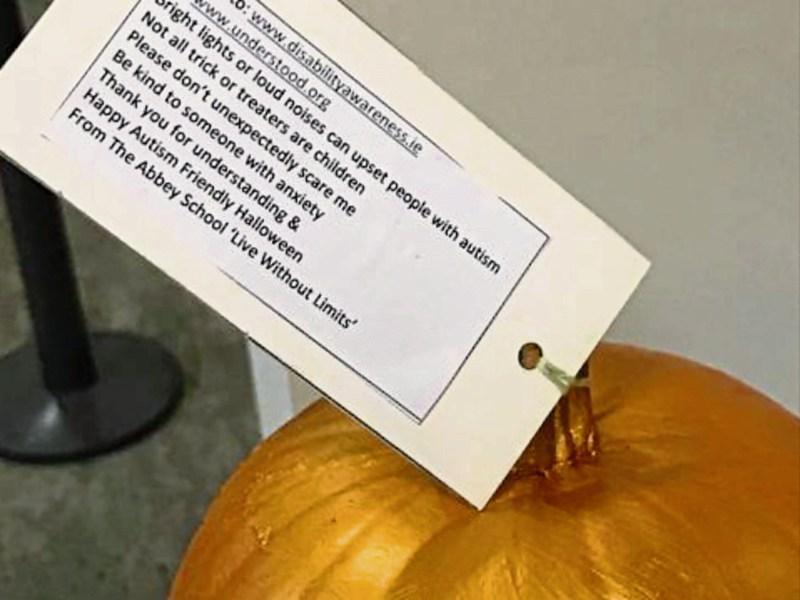 Tipperary students helping those with autism to enjoy Halloween festivities