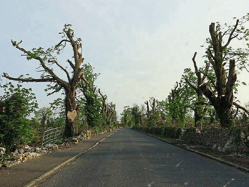 Tipperary election candidate calls for safety measures on Nenagh road