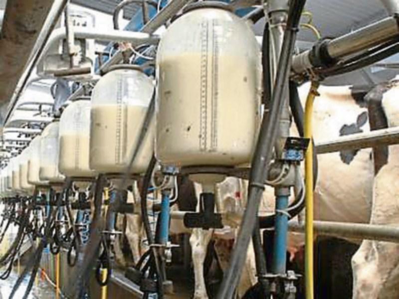 Tipperary farming: Glanbia’s decision on milk price is ‘inexplicable’