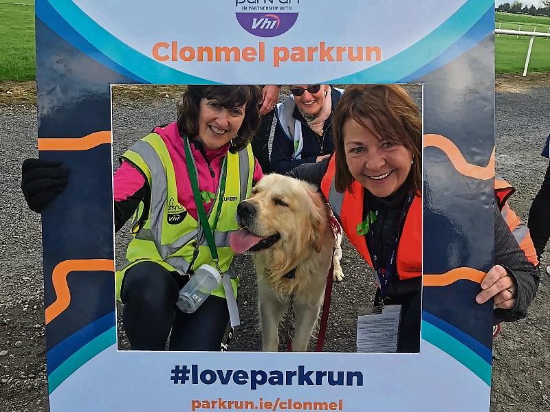 Taking part in Tipperary parkruns has significant mental and physical health benefits