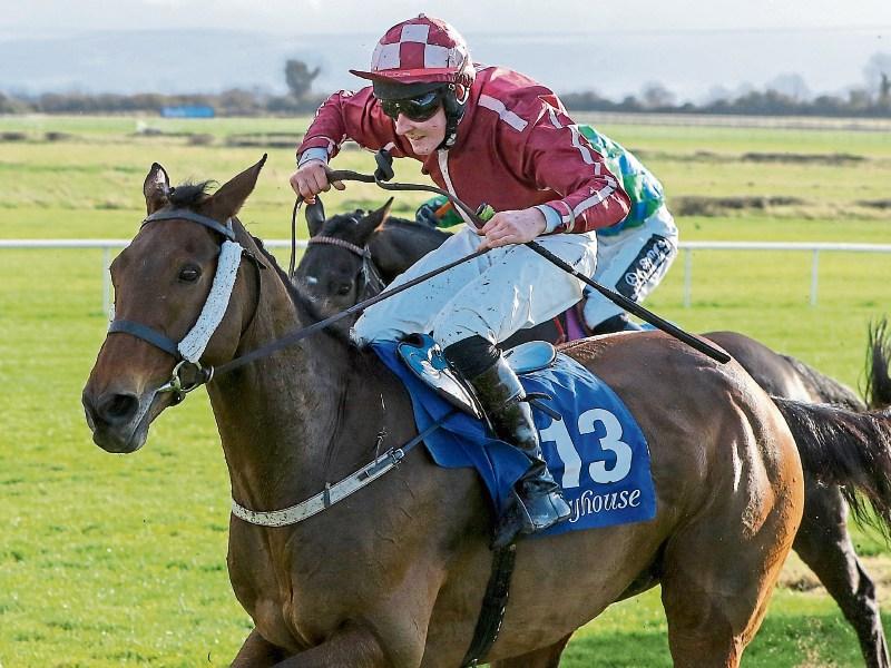 Tipperary horseracing - big win on the track to add to hurling glory for Borris-Ileigh
