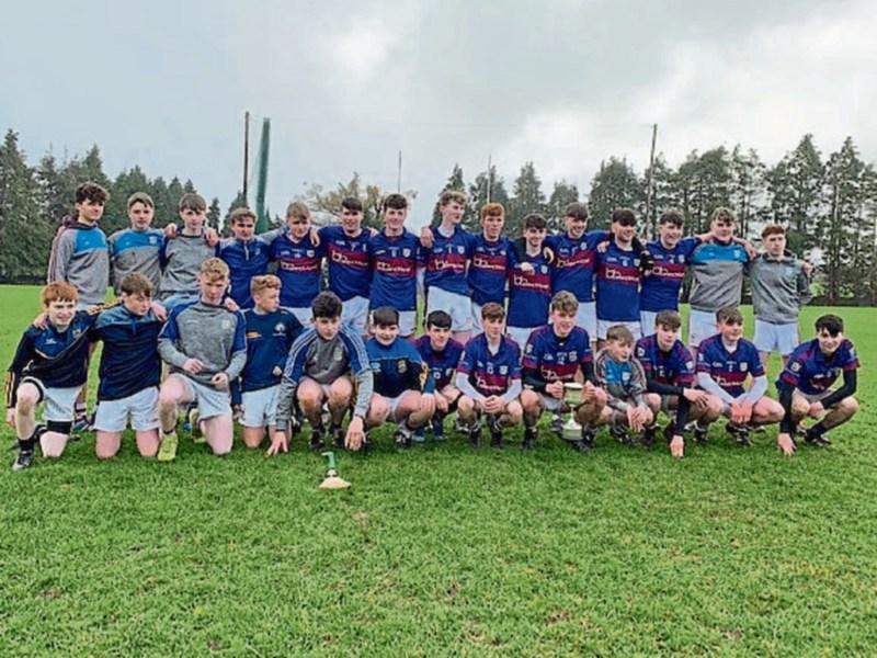 Presentation Ballingarry Hurling Champions