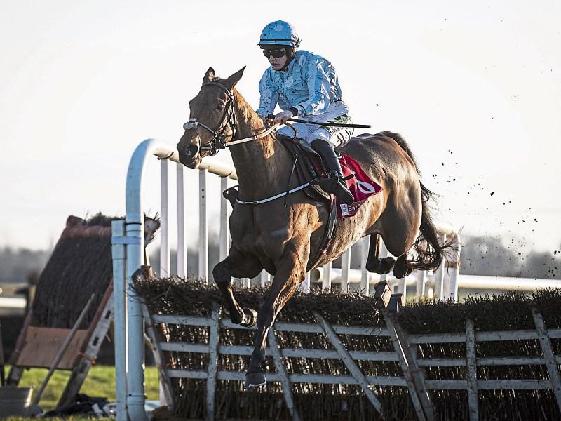 Tipperary jockey Rachael Blackmore describes Honeysuckle as 'definitely special'