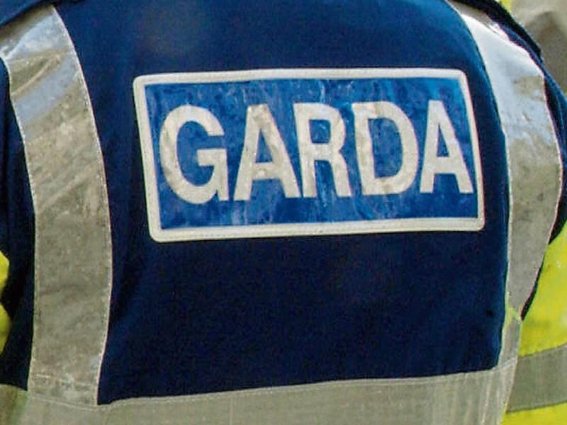 Gardai seize €1000 worth of suspected cannabis herb in search at Co. Tipperary house