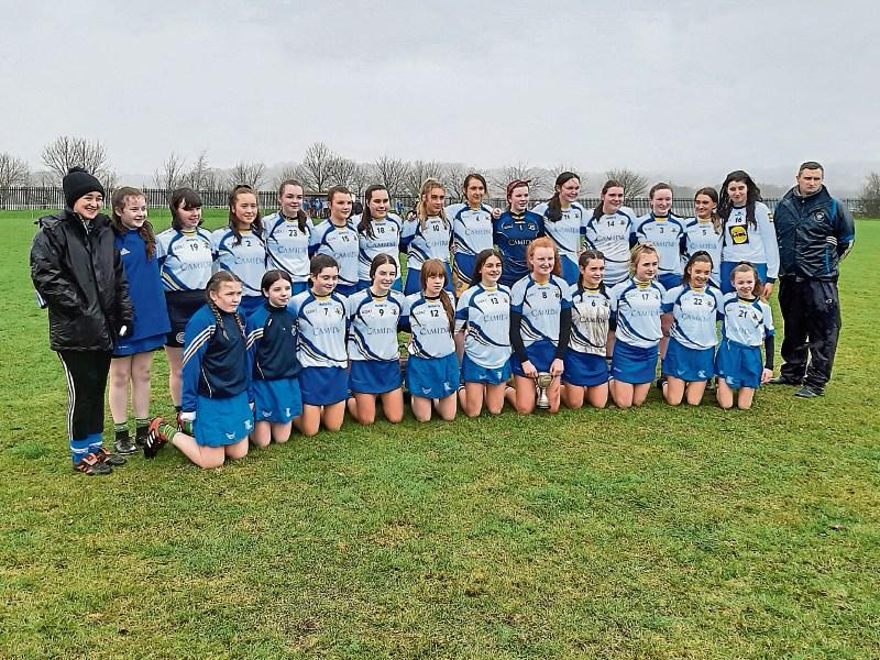 Munster Camogie Champions