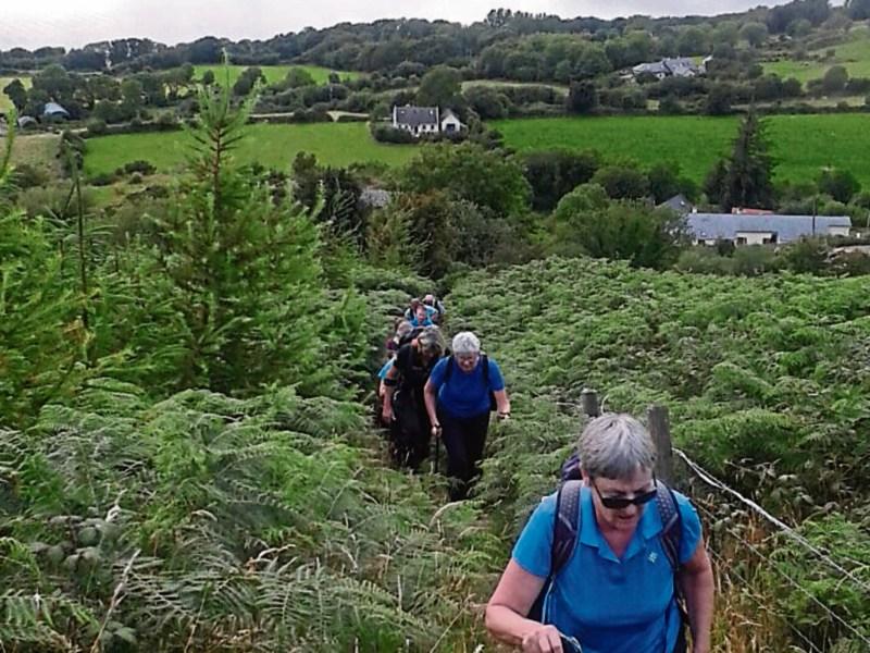 Tipperary walking club heads up Tonntinne 'as Ghaeilge'