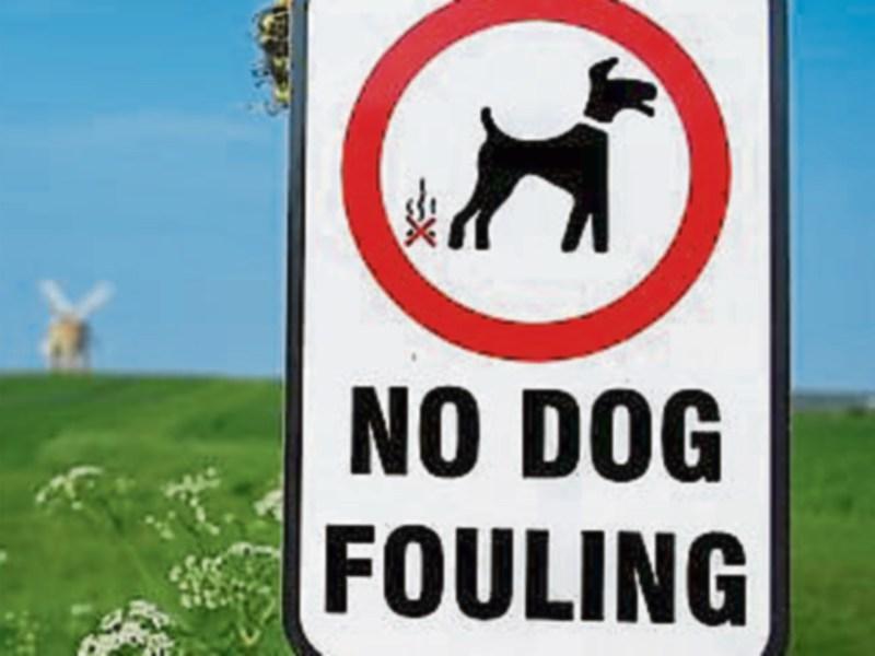 Concern in a Tipperary town over the extent of dog dirt on the streets