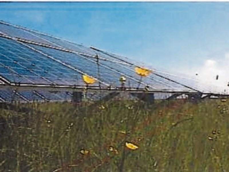Solar farm plans for near Cashel, Thomastown