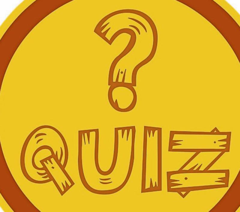 Carrick-on-Suir school student excels in national European Money Quiz contest