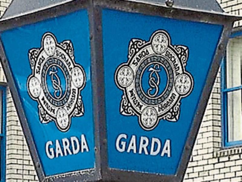 Vandals knock wing mirrors off cars parked in Co. Tipperary town 