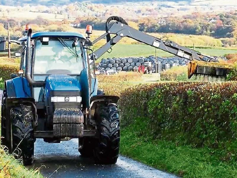 Tipperary councillors seek extension to seek hedge cutting season
