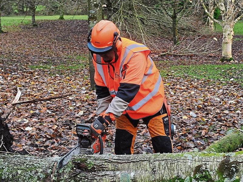 Tipperary farmers warned about the dangers of taking a chance with a