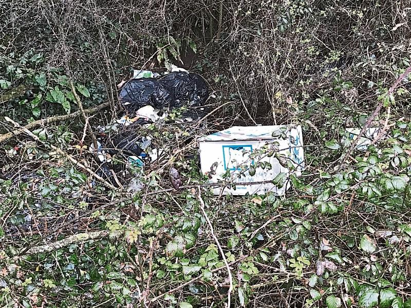 Litter in Ballingarry