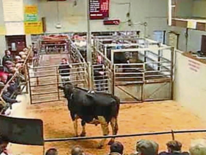 Co. Tipperary marts to be allowed facilitate animal sales under new Covid-19 crisis measures