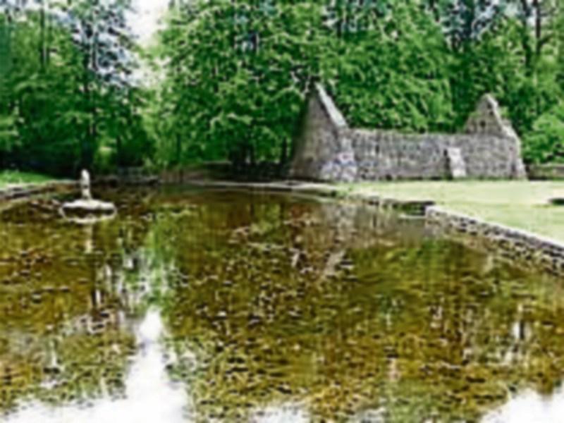 50th&nbsp;anniversary of restoration of Clonmel&rsquo;s St Patrick&rsquo;s Well will be celebrated after Covid-19 crisis abates