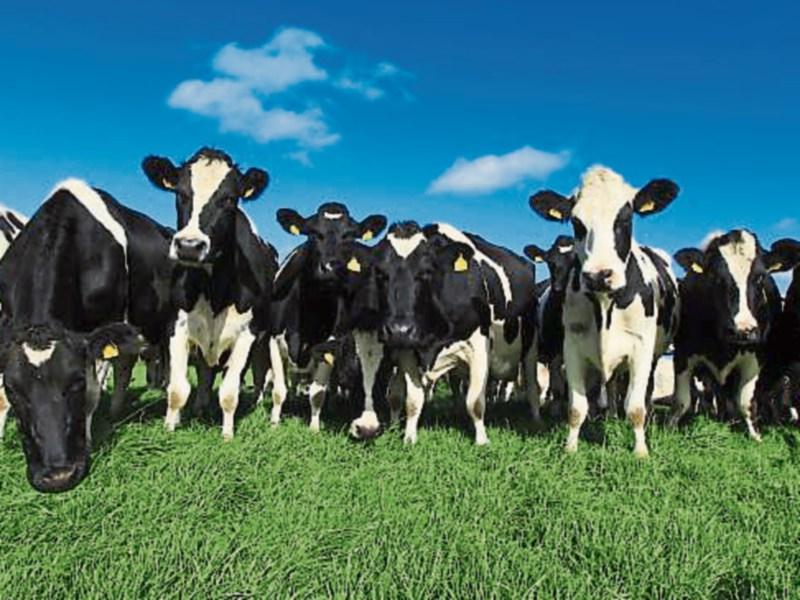 Farmers detail roadmap to easier and more enjoyable farming