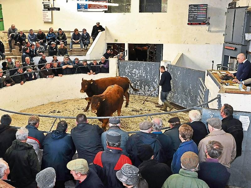 LIVESTOCK MARTS