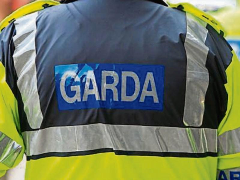 Gardai investigate lunchtime theft of gardening equipment from Tipperary house