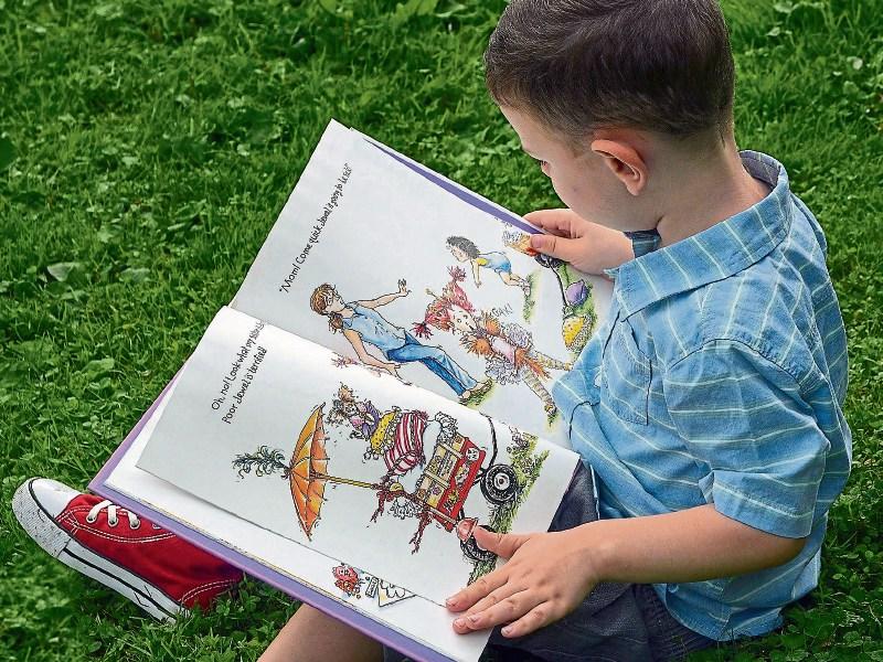 LITTLE FREE BOOK LIBRARY