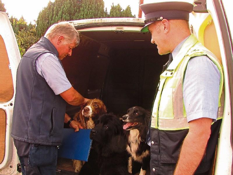 Garda checkpoints