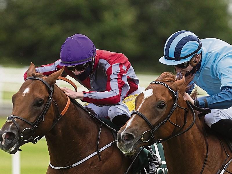 Horse racing