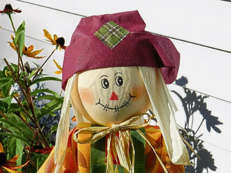Tipperary villages planning a scarecrow competition - the more outrageous the better!