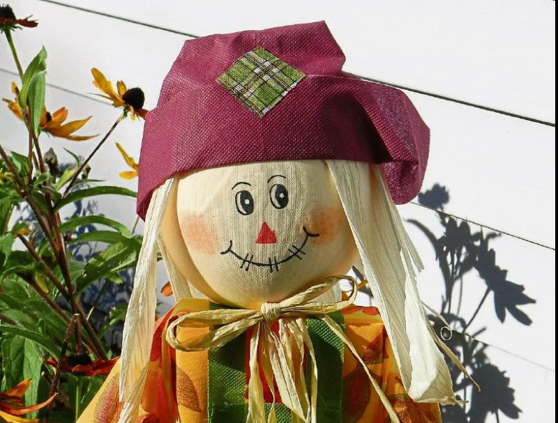 Tipperary villages planning a scarecrow competition - the more outrageous the better!
