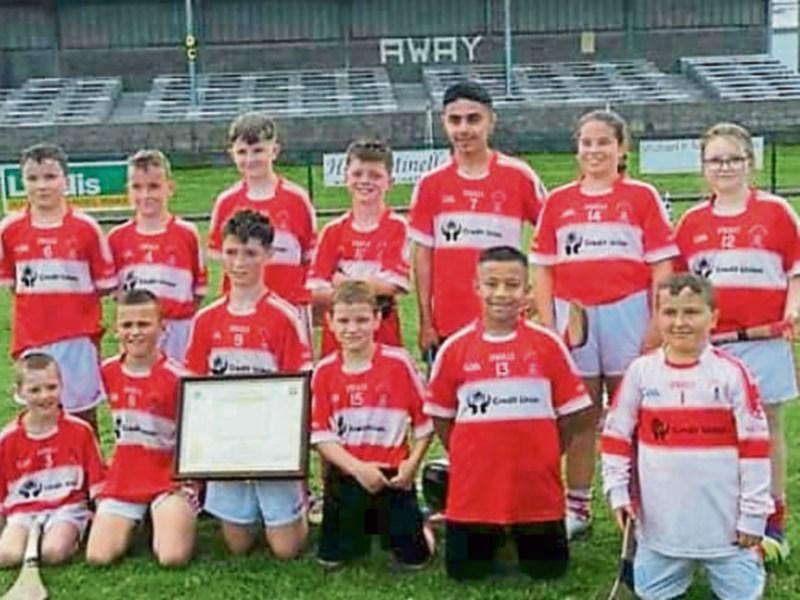 Carrick Davins GAA Club to be featured on RTE News 