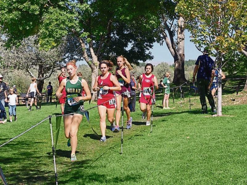 Cross country 