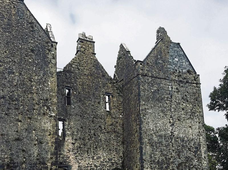 30 strong Belgian deputation to check out their ancestral Tipperary home