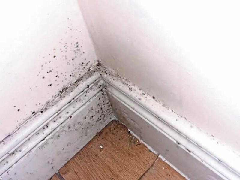 Naas mum-of-three complains of mould at emergency accommodation