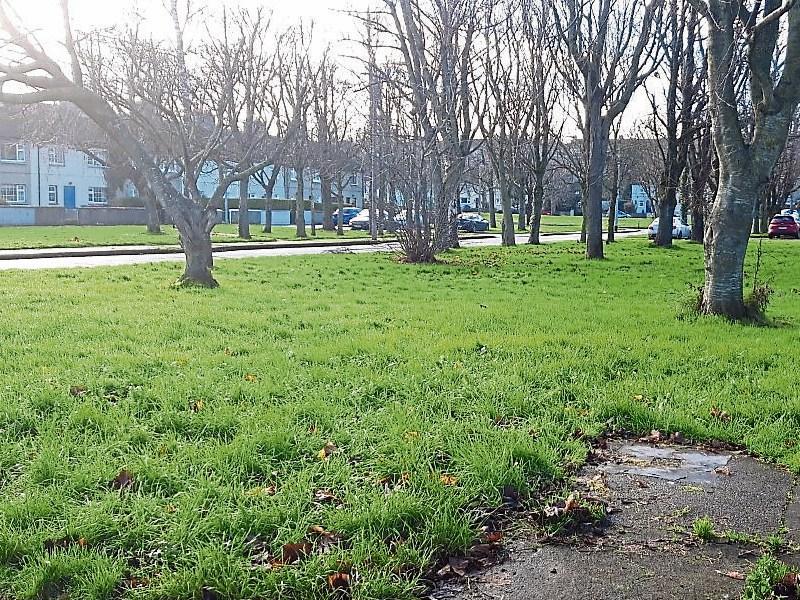 Baron Park, Clonmel