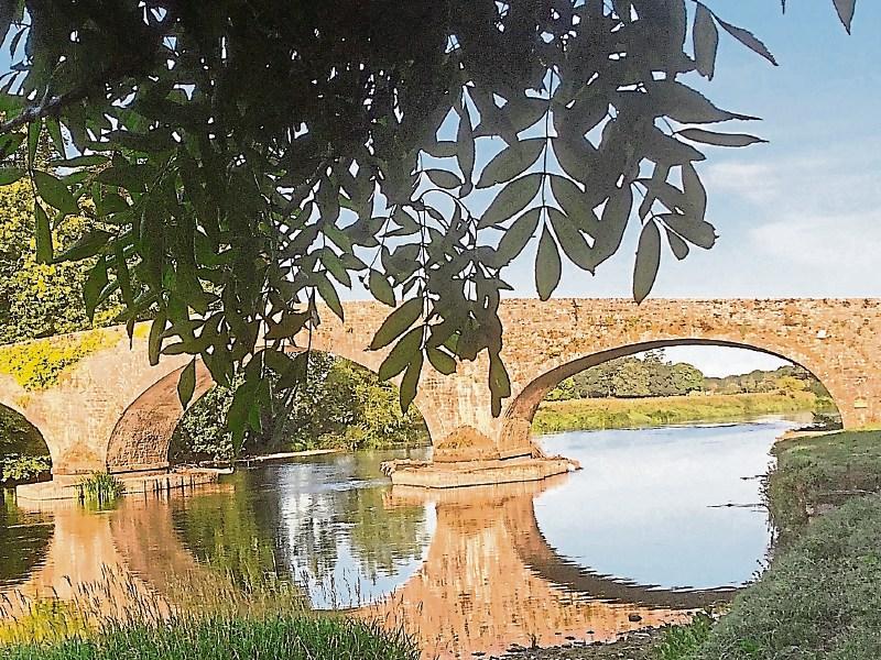 Great sadness in Kilsheelan/Kilcash parish at passing of Liam Larkin