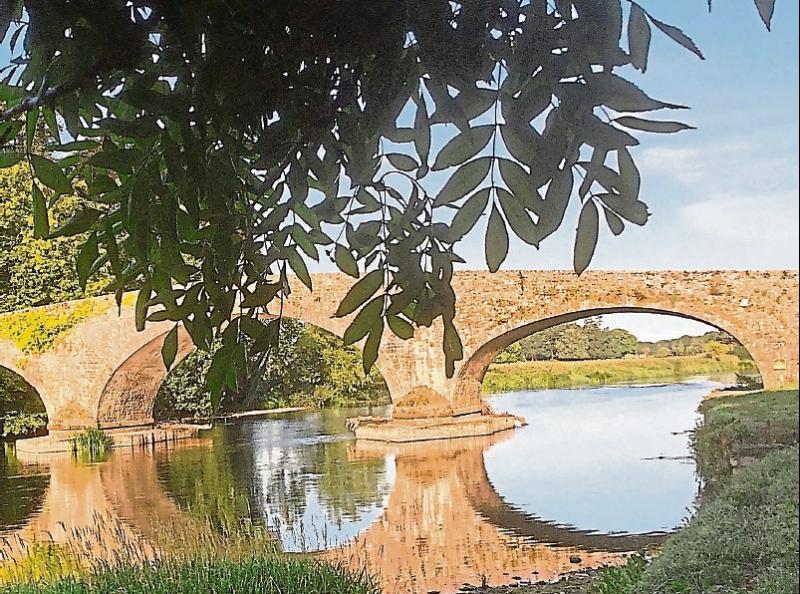 Tipperary nature lovers: Suir riverside 'walk and talk' on Monday next