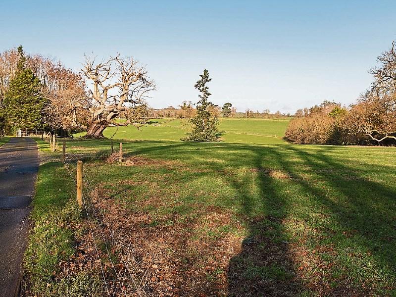 Ballingarrane site