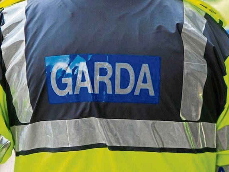 Garda appeal for witnesses to Clonmel shed break-in