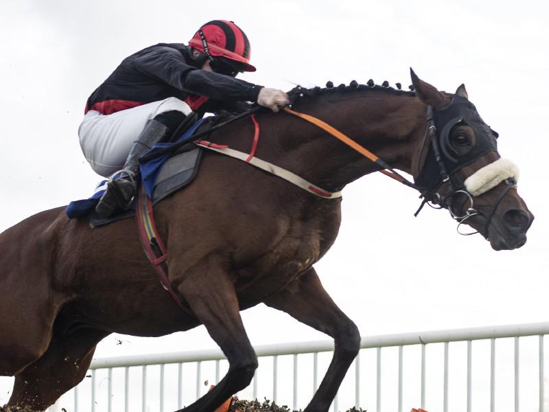 Horse racing