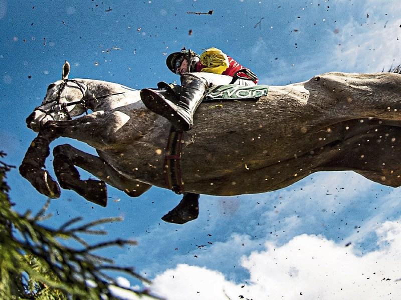 Horse racing