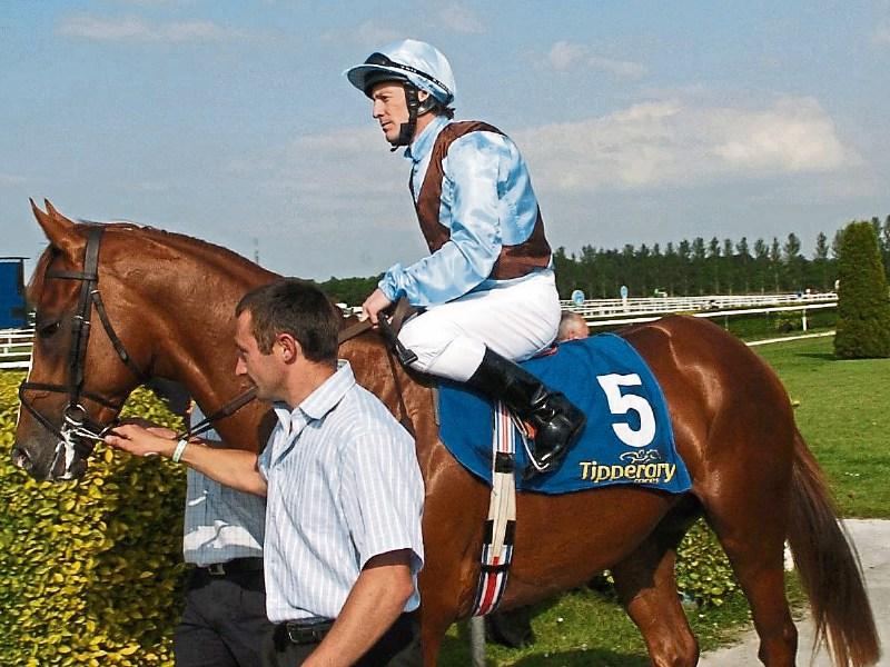 Tipperary Racecourse