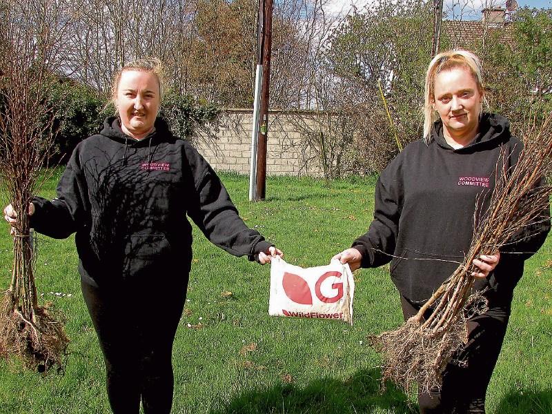 Hi Ho, Hi Ho - It's back to work for residents in county Tipperary housing estate