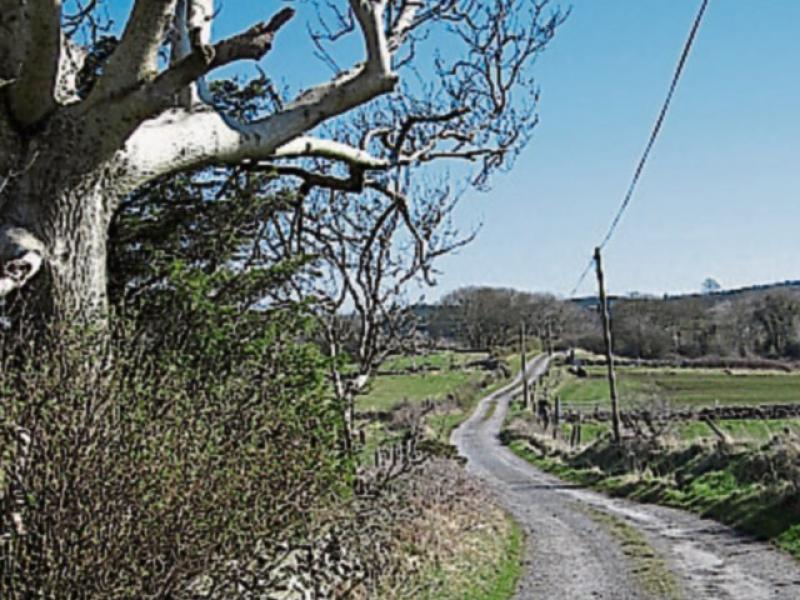 Get the Tipperary hurley out and get on the road early for St Patrick's Day!