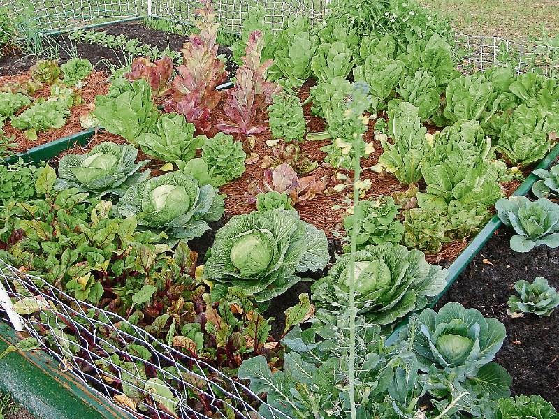 Tipperary farming: moves by retailers to support local growers welcomed