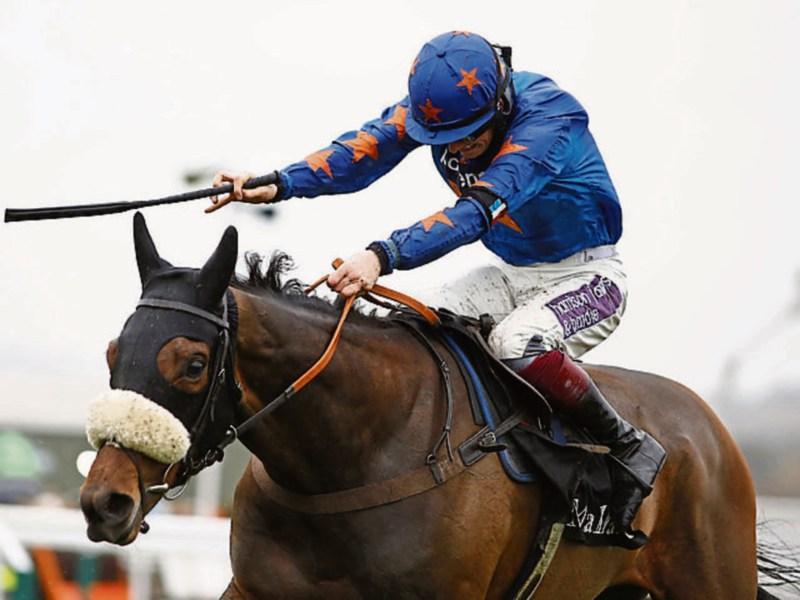THE PUNTER'S EYE: O'Brien can put on a 'show' at Limerick races this  weekend